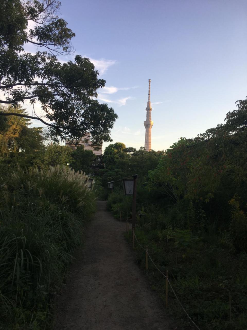 ファミリータワー向島百花園 Casa de hóspedes